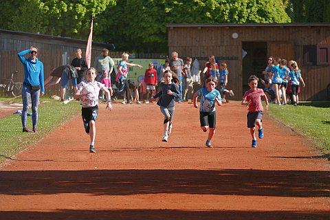 foto08.jpg